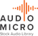 AudioMicro公司。