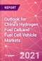 中国氢燃料电池及燃料电池汽车市场展望-产品形象