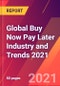 Global Buy Now Pay Later 2021年行业和趋势-产品缩略图