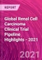 全球肾细胞癌临床试验管道亮点 -  2021  - 产品缩略图图像