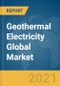 地热电全球市场报告2021：Covid-19影响和恢复到2030  - 产品缩略图图像