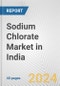 印度氯酸钠市场:2016-2022年回顾和2026年预测-产品缩略图