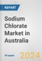 澳大利亚氯酸钠市场:2016-2022年回顾和2026年预测-产品缩略图