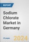 德国氯酸钠市场:2016-2022年回顾和2026年预测-产品缩略图