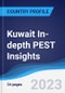 科威特深入的PEST洞察-产品缩略图图像
