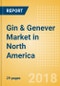 北美杜松子酒和烈性酒市场-展望到2022年:市场规模，增长和预测分析-产品缩略图
