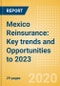墨西哥再保险:到2023年的主要趋势和机遇-产品缩略图