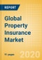 全球财产保险市场-产品缩略图