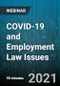 Covid-19和就业法问题 - 网络研讨会 - 产品缩略图图像