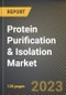 蛋白质纯化和分离市场研究报告（按应用、按最终用户、按技术、按州）-美国预测至20金宝搏平台怎么样26年-新冠病毒-19的累积影响-产品缩略图