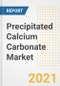 沉淀碳酸钙(PCC)市场预测和机会，2021 -趋势，前景和影响在COVID - 19恢复案例到2028 -产品缩略图