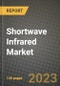 短波红外(SWIR)市场报告-全球行业数据，分析和增长预测，类型，应用和地区，2021-2028 -产品的Thumbnail图像
