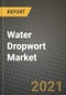 Water Dropwort Market Report - Industry Size, Competition, Trends and Growth Opportunities by regional - COVID Impact Forecast by Types and Applications (2021-2028) - Product缩略图
