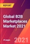全球B2B市场市场2021 -产品缩略图图像