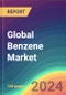 全球苯市场分析:工厂产能，生产，运营效率，需求和供应，技术，竞争，贸易，客户和价格情报，市场分析，2030 -产品缩略图