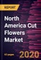 北美切花市场预测到2027 - 2019冠状病毒病的影响和区域分析按花卉类型，应用-产品缩略图