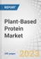 植物蛋白的来源(大豆，小麦和豌豆)，类型(分离物，浓缩物和结构)，形式，应用(食品(奶制品替代品，肉类替代品和性能营养)和饲料)和地区-全球预测到2026 -产品缩略图