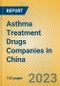 中国的哮喘治疗药物公司-产品缩略图