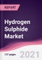 硫化氢市场-产品缩略图