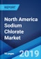 北美氯酸钠市场:行业趋势，份额，规模，增长，机会和预测2019-2024 -产品缩略图