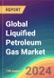 全球液化石油气（LPG）市场：植物能力，需求和供应，销售渠道，竞争，客户和智能市场分析，2015-2030  - 产品缩略图图像