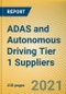 全球和中国ADAS和自动驾驶一级供应商报告，2020-2021 -产品简图