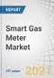 智能煤气表的市场-从技术(AMR和AMI)，类型(智能超声波煤气表和智能膜片煤气表)，组件(硬件和软件)，终端用户(住宅，商业和工业)，和地区-全球预测到2026 -产品概况图