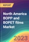 北美BOPP和BOPET薄膜市场分析:工厂能力，生产，运营效率，流程，需求和供应，应用，销售渠道，区域，竞争，贸易，客户和价格情报市场分析，2015-2030 -产品概述图像