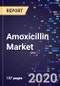 阿莫西林市场分析，按感染类型、途径、形式、分销渠道和地区，以及到2027年的细分市场预测-产品缩略图