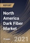 北美深色纤维市场，各类型，各材料，各网络类型，各终端用户，各国家，行业分析与预测，2020 - 2026 -产品简图