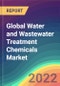 全球水和废水处理化学品市场分析:工厂能力，生产，运营效率，技术，需求和供应，终端用户行业，分销渠道，区域需求，2015-2030 -产品简图