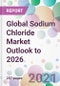 全球氯化钠市场展望至2026年-产品缩略图