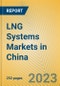 中国液化天然气系统市场-产品缩略图