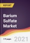 硫酸钡市场报告:趋势，预测和竞争分析-产品缩略图图像