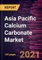 亚太地区碳酸钙市场预测- 2019冠状病毒病的影响和地区分析(按类型和沉淀碳酸钙)和应用-产品概述图