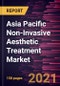 到2028年的亚太地区非侵入性美容治疗市场预测-新冠病毒-19的影响和区域分析（按程序（注射剂、皮肤再生等）和最终用户（医院、诊所和医疗水疗中心等）-产品缩略图