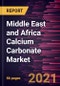 中东和非洲碳酸钙市场预测到2028 - 2019冠状病毒病的影响和地区分析(按类型和沉淀碳酸钙)和应用-产品的Thumbnail图像