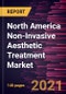 北美无创美容治疗市场预测到2028年- COVID-19的影响和区域分析，按程序(注射，皮肤再生和其他)和最终用户(医院，诊所和医疗水疗中心，和其他)-产品概述图像