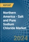 北美 - 盐和纯氯化钠 - 市场分析，预测，规模，趋势和见解。更新：Covid-19影响 - 产品图像