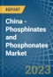 中国-磷酸盐(次磷酸盐)和磷酸盐(亚磷酸盐)-市场分析，预测，规模，趋势和见解。更新:COVID-19的影响-产品缩略图