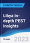 利比亚深入的PEST洞察-产品缩略图图像