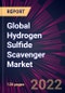 全球硫化氢清道夫市场2022-2026 -产品缩略图