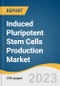 诱导多能干细胞生产市场规模，份额和趋势分析报告，按过程，按产品，按工作流程，按应用，按终端使用，按地区，和细分预测，2021-2028 -产品缩略图