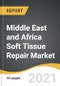 中东和非洲软组织修复市场2021-2028 -产品缩略图