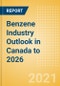 加拿大苯工业展望至2026年-市场规模，公司份额，价格趋势，所有现有和计划工厂的产能预测-产品缩略图