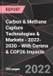 碳和甲烷捕获技术与市场- 2022-2030 -与冠状病毒和COP26的影响-产品缩略图