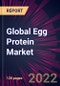 全球蛋蛋白市场2022-2026 -产品缩略图