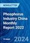 中国磷工业2022年月报-产品缩略图