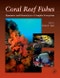 珊瑚礁鱼类。复杂生态系统中的动态和多样性-产品缩略图