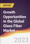 全球玻璃纤维市场的增长机会 - 产品缩略图图像